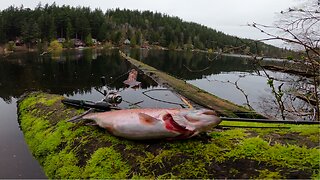 Opening Day for Trout Season in Washington. ALL LUNKERS!!