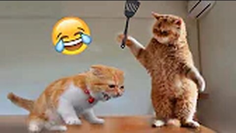 Best Funny Animal Videos of the year (2023), funniest animals ever. relax with cute animals video