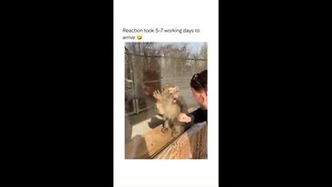 MONKEY IS AMAZED BY SPECTACULAR MAGIC TRICK