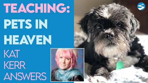 Kat Kerr Teaching: Pets In Heaven | April 27 2022