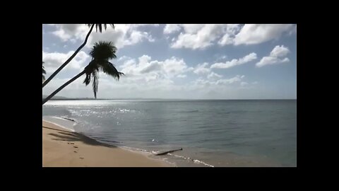 🍃 Música Relaxante e Som das Ondas do Mar 🎶 BUSQUE A PAZ INTERIOR