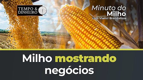 Milho mostrando negócios