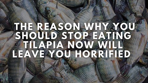 The Reason Why You Should Stop Eating Tilapia Now Will Leave You Horrified