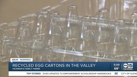 Local egg farm makes own cartons with recycled plastic