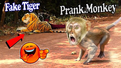 Tiger And Monkeys Prank In 2023, Amazing Running and Flying Fake Tiger and Wild Monkeys.