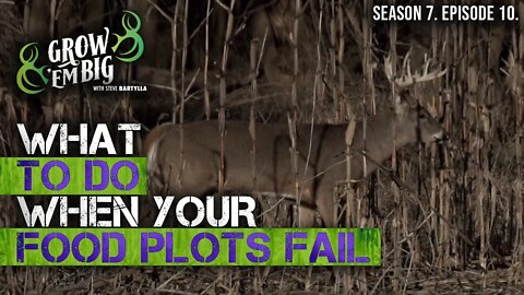 What to Do When Your Food Plots Fail