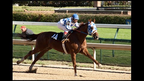 Secretariat (LORD, take me to the outside. Let’s ride!