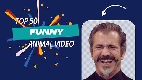 Top 50 funniest 😂 animal videos