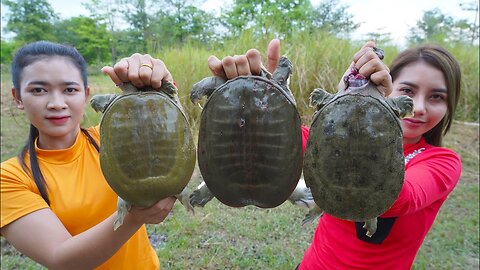 Cook turtle soup and roasted with salt Amazing cooking recipe