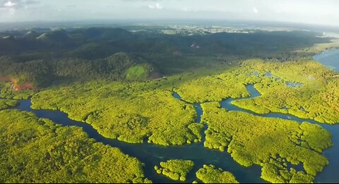 Amazon rainforest