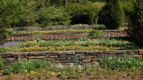 Terrace garden beginnings