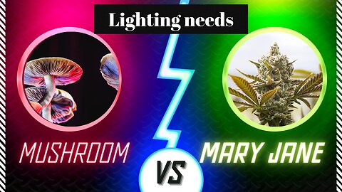 Mushroom vs. Mary Jane