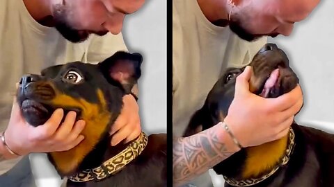 Chiropractor Cracks Dog's Neck