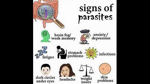 Parasites-What Else Are They Not Telling Us