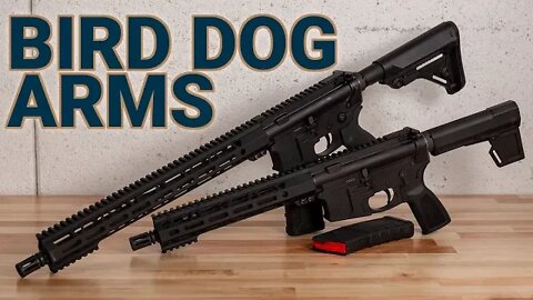 Looking at a Couple Bird Dog Arms ARs