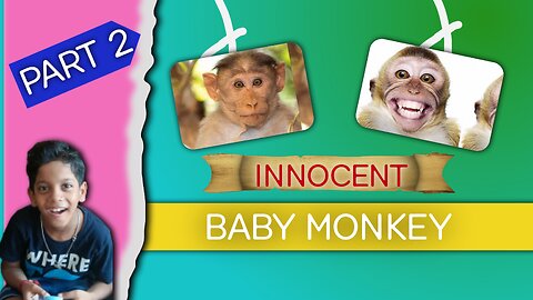 Innocent baby Monkey part 2