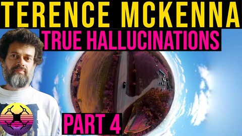 Terence McKenna - True Hallucinations Part 4 - Audiobook Series