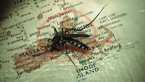 Deadly Mosquito Virus Alert in Massachusetts What You Need to Know