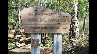 National Forest, Wilderness Texas