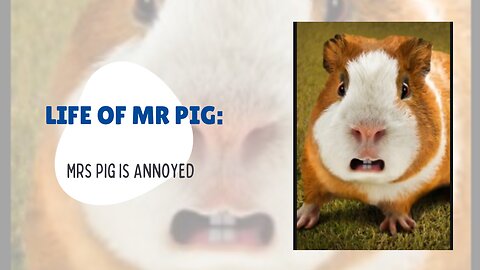 Life of Mr Pig: Ep.2 Mrs. Pig is annoyed