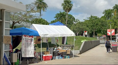 Campamento boricua contra Israel