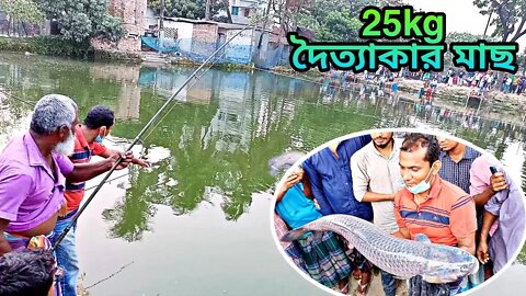 দৈত্যাকার মাছ ধরা দেখতে উৎসুখ জনতার ভিড়/Giant massive fishing