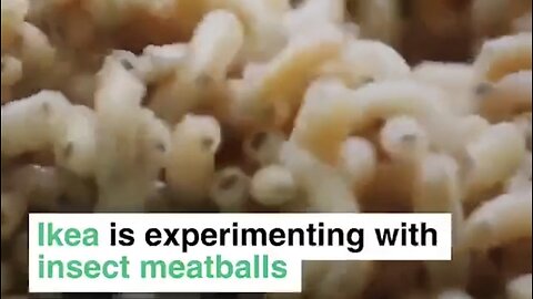 IKEA’s ‘NEATBALL’: The ‘Mealworm Meatball’ Alternative