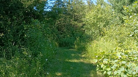 Perch Lake Hike "Dragon Fly" Trail