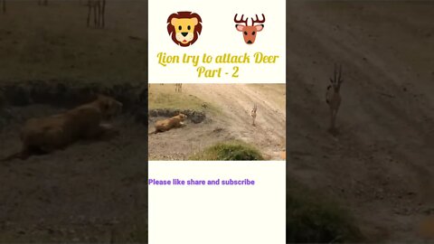 Lion try to attack Deer 🦌 part -2