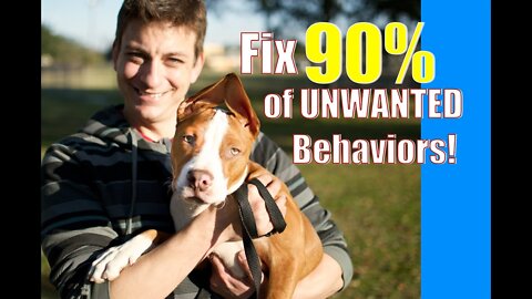 Doing THIS will eliminate over 90% of behavior problems in your dog.