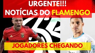 URGENTE!!! NOTÍCIAS DO FLAMENGO - JOGADORES CHEGANDO MERCADO DA BOLA - É TRETA!!!