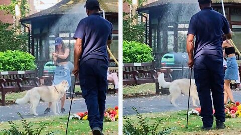 Dog Getting a Quick Shower From a Plant Watering Hose