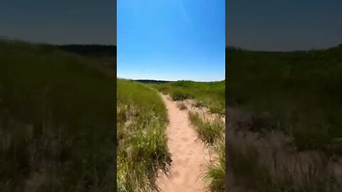 Sand dunes in a heat wave