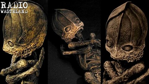 The Kyshtym Dwarf: Notorious Alien Corpse??