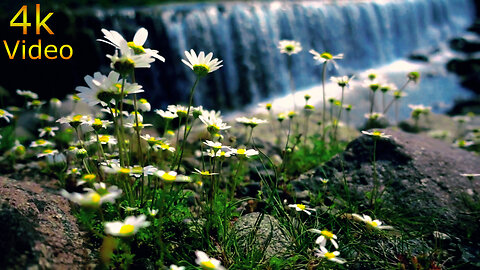 #The World Most Beautifull Waterfall In Forest @beauty of nature