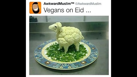 The Best Halal Memes on the Internet (Part 8)