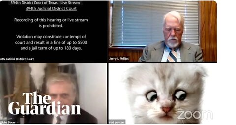 'I’m not a cat': lawyer gets stuck on Zoom kitten filter during court case