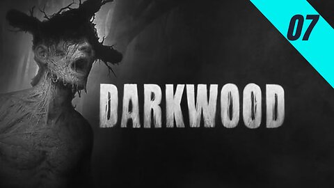 Pehilux Jogando Darkwood - 07