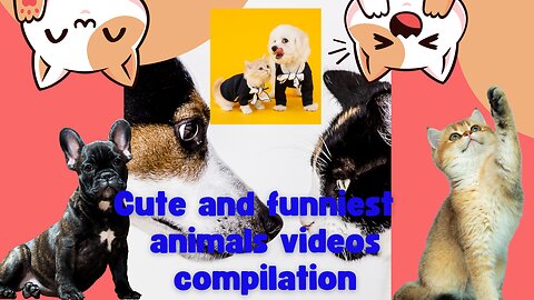 Funny animal cute compilation