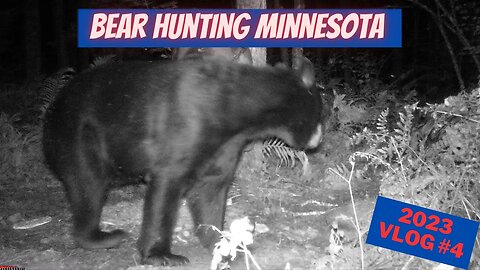 2023 Minnesota Bear Hunting VLOG 4 | It's going bonkerz!