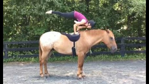 Faire du yoga sur un cheval c'est possible