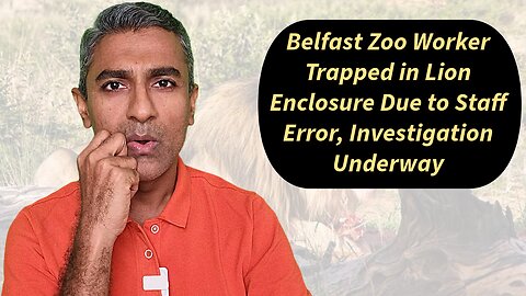 Belfast Zoo Worker Trapped in Lion Enclosure Due to Staff Error, Investigation Underway