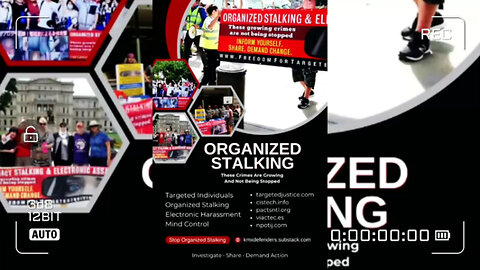 ORGANIZED STALKING • 2024