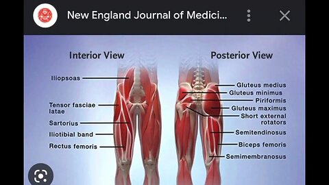 Hip Mobility Challenge step by step