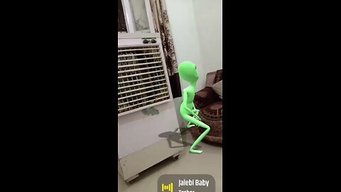 funny videos