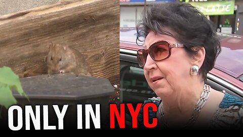 Old lady FINED $600 for reporting rat sighting to the NYC rat hotline...wait, WHAT?!