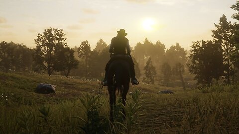 RED DEAD REDEMPTION 2 PS4 [Free Roam Gameplay] - Morning