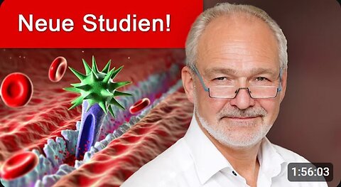 20.9.24🧠👀Dr. med. Dirk Wiechert👉Spike-Protein führt zu systemischer Störung der Mikrodurchblutung