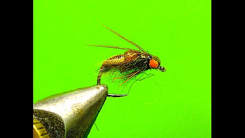 Pupae Weighted Nymph 1