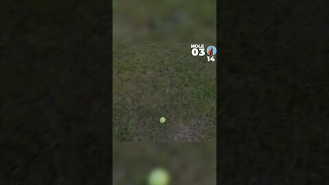 #shorts | HOLE IN 2 | AMAZING SHOT GOES DOWN FOR A HOLE IN TWO | GARDEN GOLF | REDNECK GOLF | CIWTG